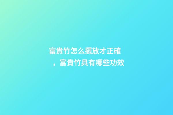 富貴竹怎么擺放才正確，富貴竹具有哪些功效